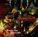 bloodshed_fluesse