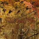 dbd_cover_-_freedoom