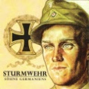 sturmwehrsoehnegerm