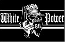 whitepower_300
